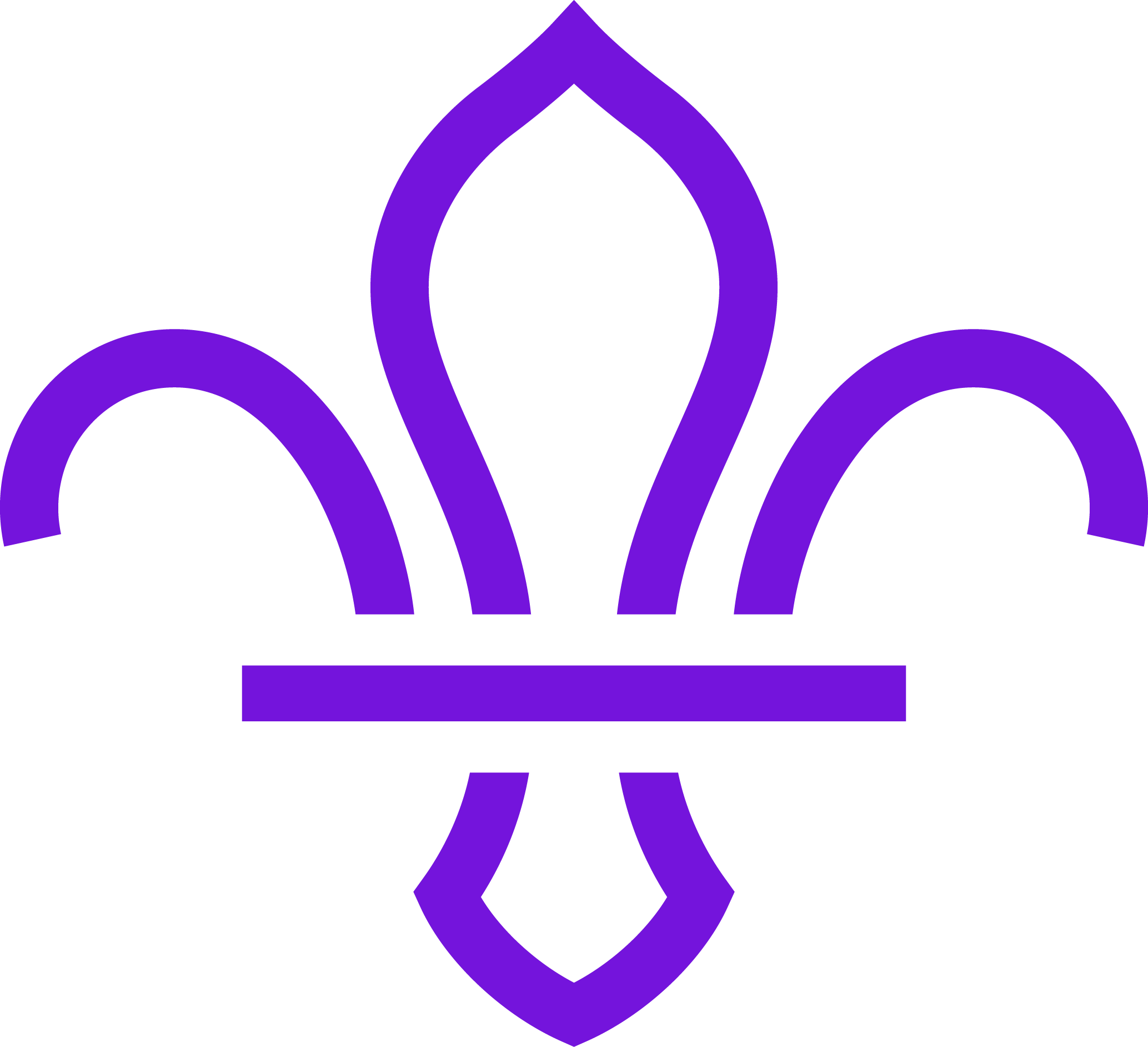 Waveney Valley Scouts